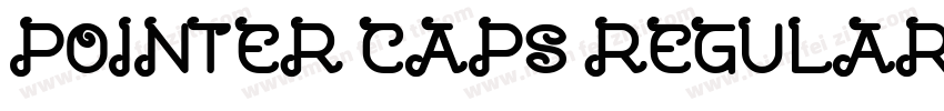 POINTER CAPS REGULAR字体转换